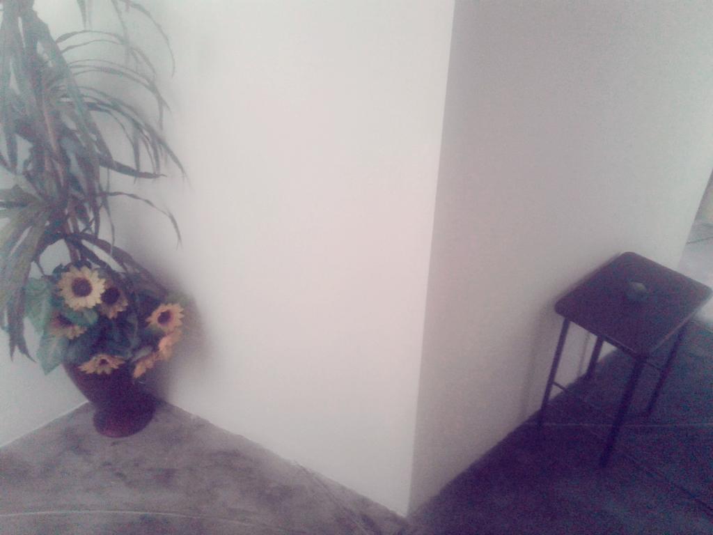La Casa Del Che Fernando Apartment Лима Екстериор снимка